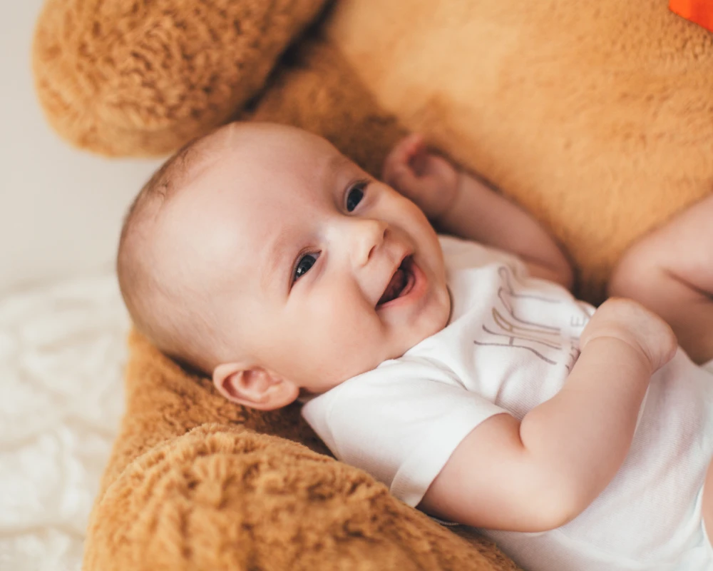 infant bassinet swing